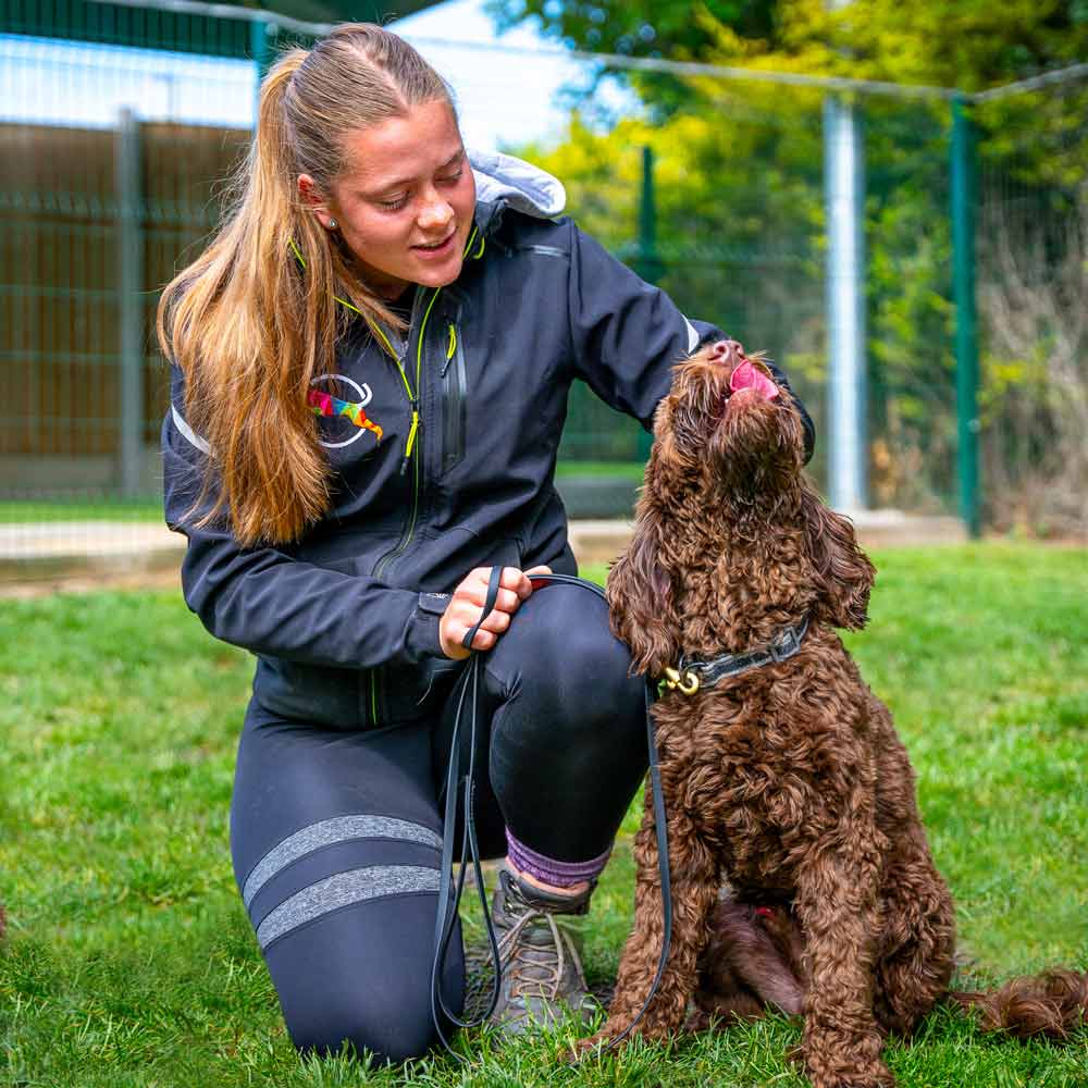 One of our progressional trainers kneeling down and stroking a brown cockapoo during a pre-training assessment at our Leeds training centre