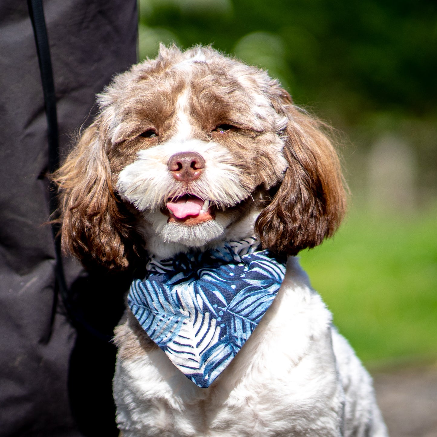 Pre Ownership Consultation