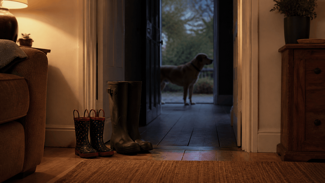 Dog Aggression Towards Family: What to Do Next - The Dog Training Company