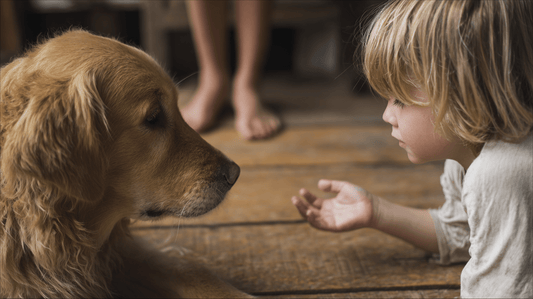 Teaching Children How to Behave Around Dogs | The Dog Training Company - The Dog Training Company