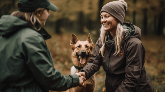 Why Is Commitment to Training Your Dog So Important? - The Dog Training Company