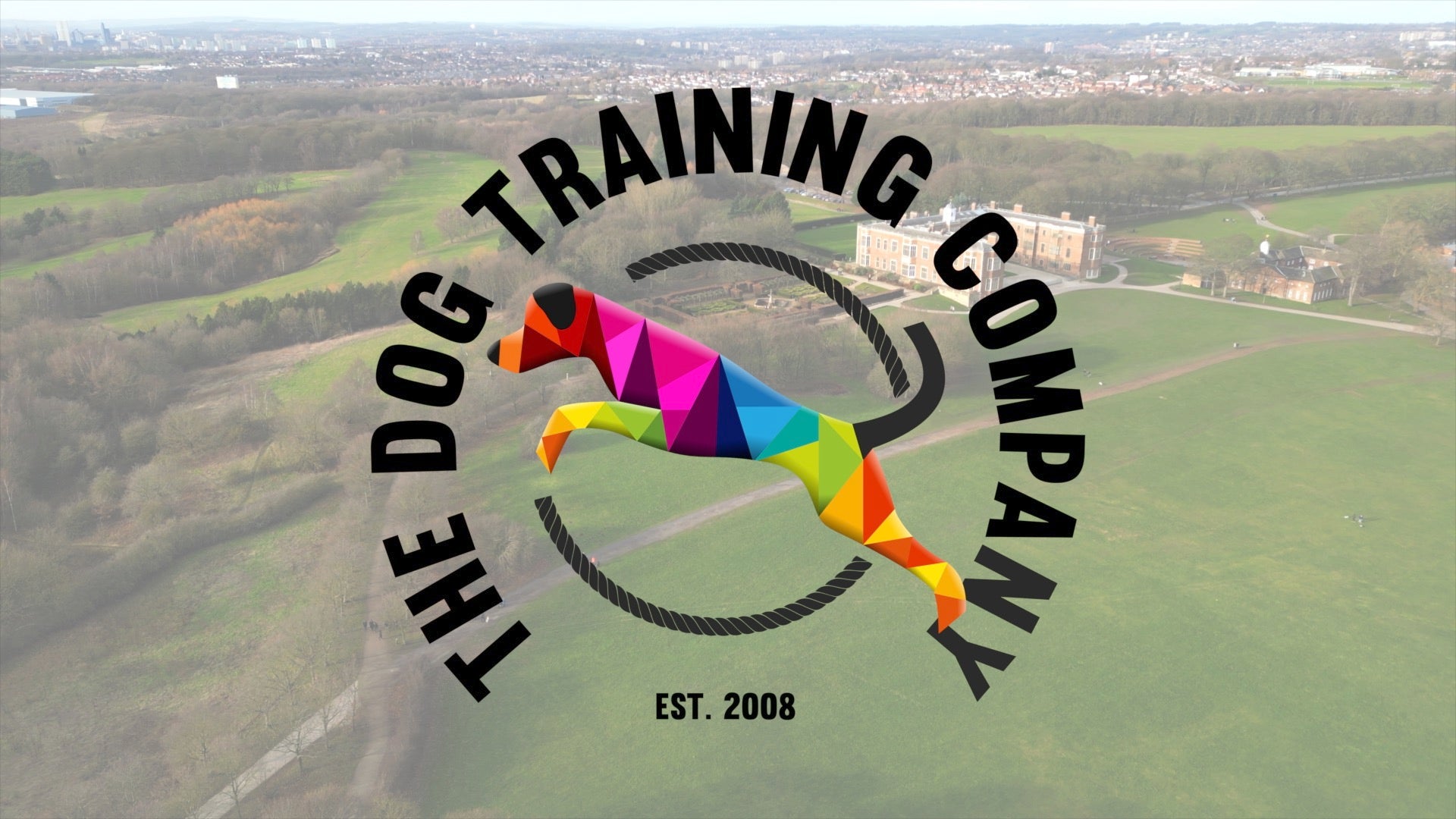 The dog 2024 training company