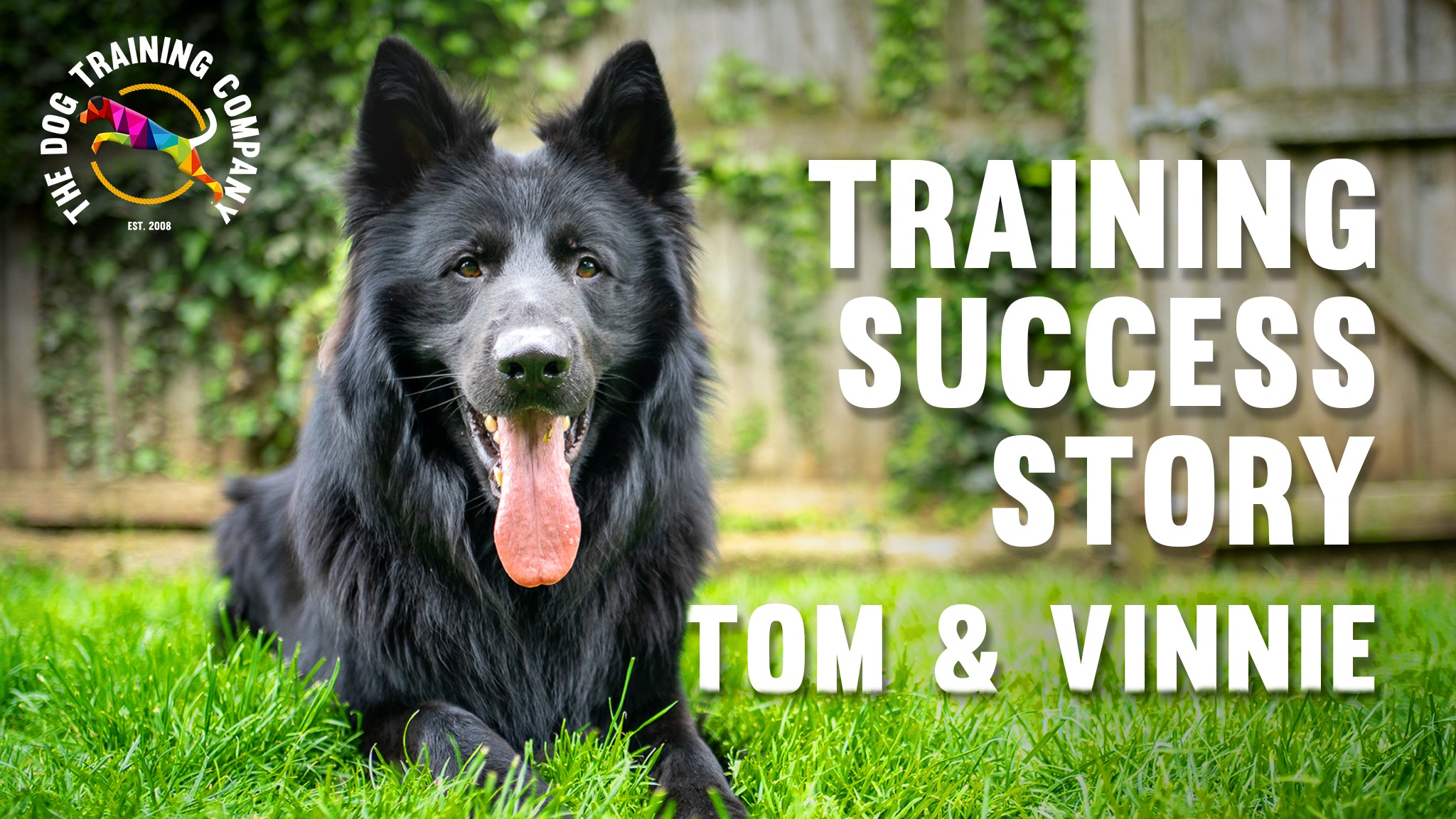Load video: Photo of Vinnie, a black long coat German Shepherd at our Leeds training centre during a boost day.