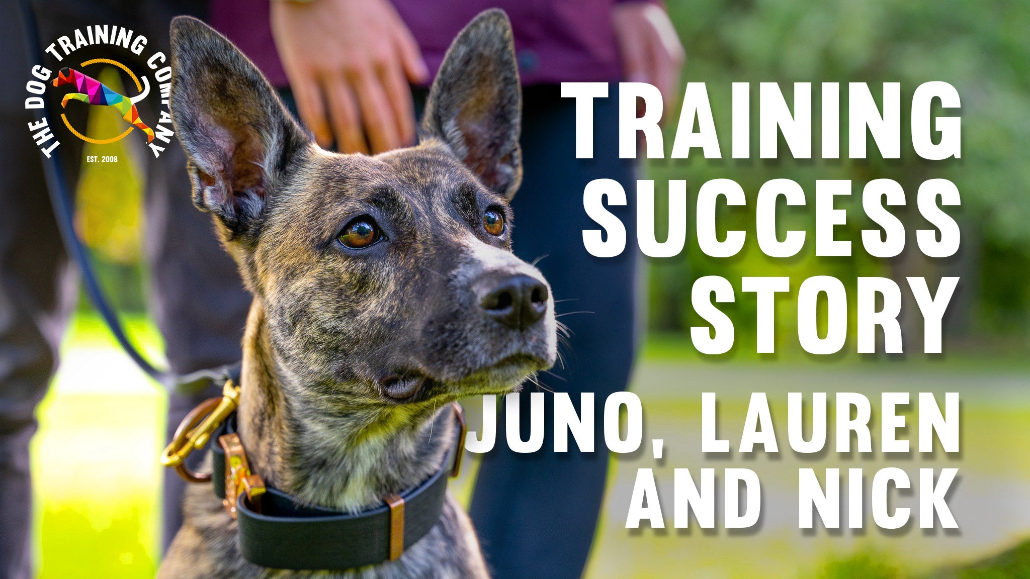 Load video: Dog Training Success Story: Juno is a rescue dog who came to see our certified dog behaviourist for help with nervous behaviour, reactivity and aggression. The situation had deteriorated so much that Juno had even bitten one of her owners.