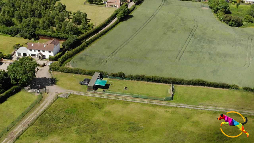 Need Dog Training Near Doncaster? The Dog Training Company