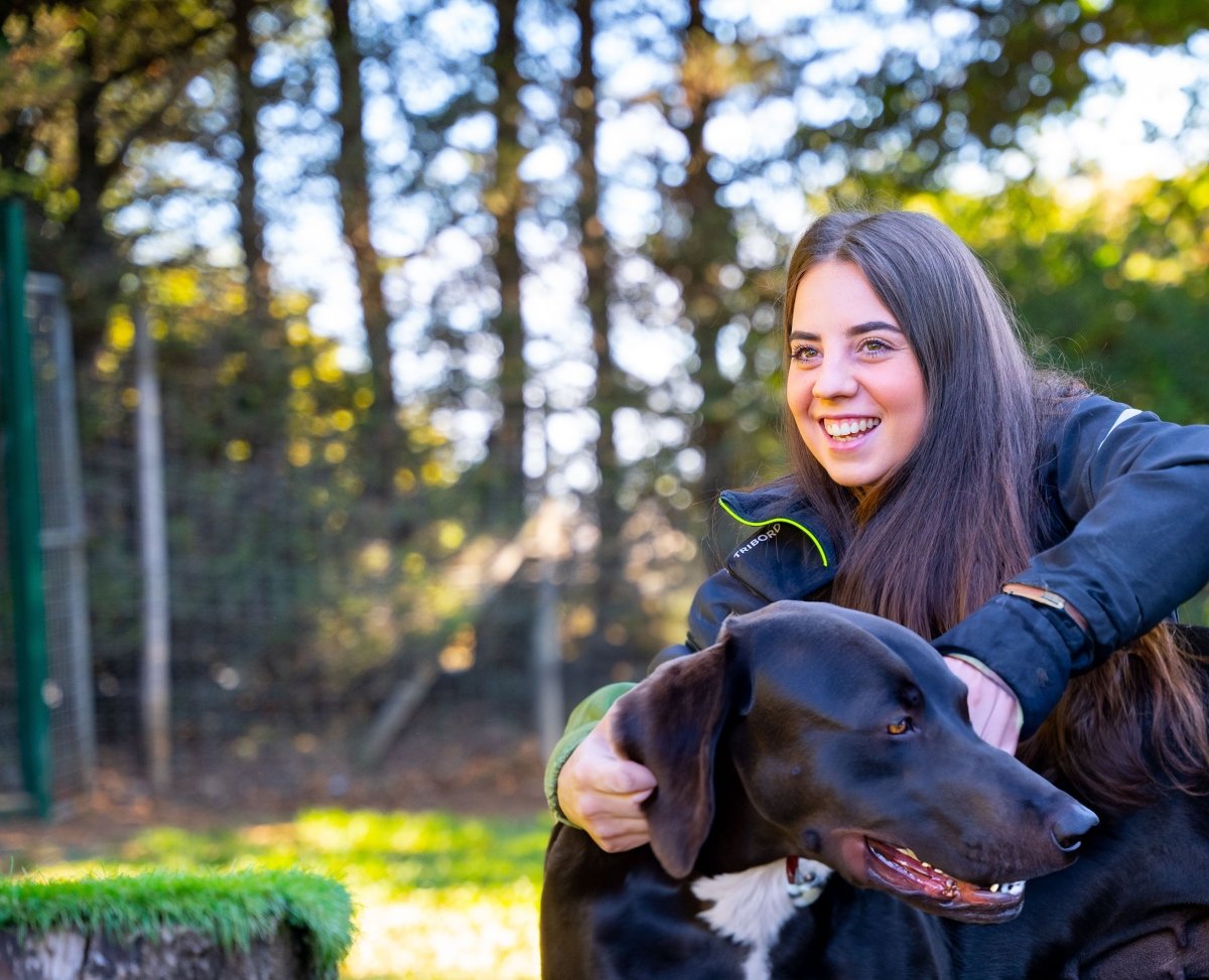 Initial Training Consultation - The Dog Training Company - The Dog Training Company