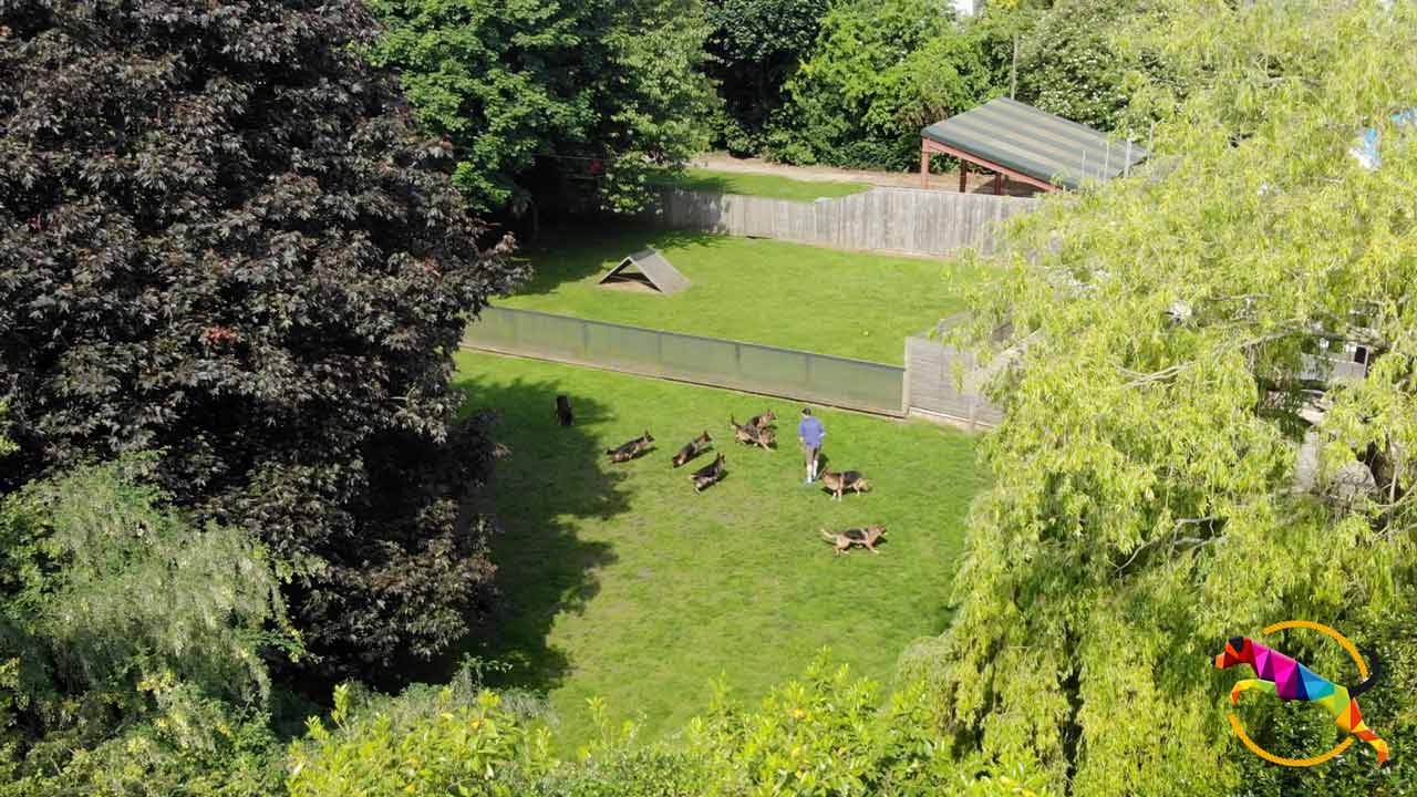 Ariel drone photograph of our Leeds training centre showing head trainer and company founder, Craig Rice, with 7 of his German shepherds.