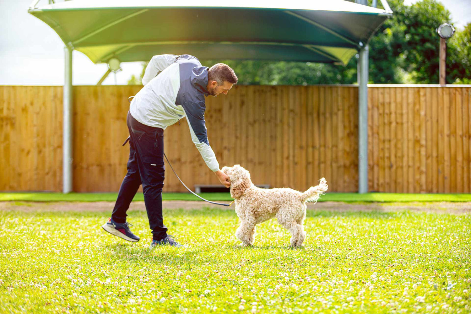 The Dog Training Company Founder in Training