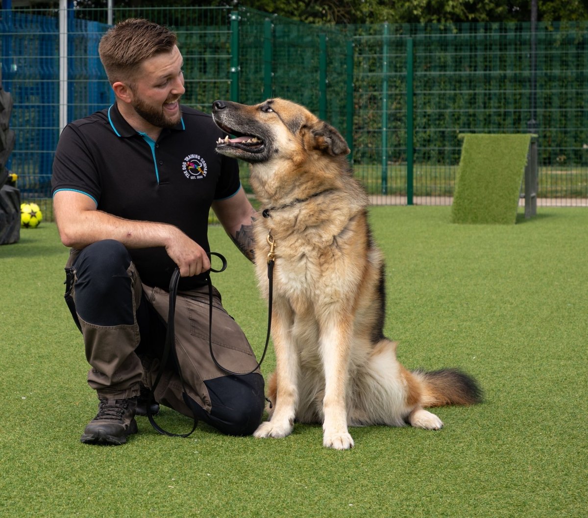 Sheffield - Initial Training Consultation - The Dog Training Company