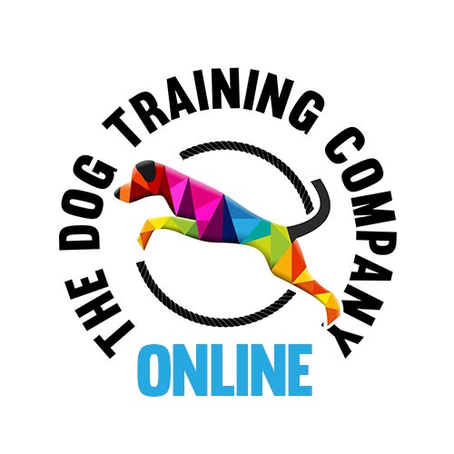 Let's Start Your Training Journey The Dog Training Company