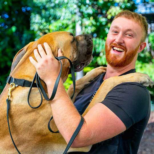 Leeds assessment photo - dog trainer smiling with a Great Dane dog