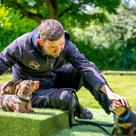 photo of Adam, the head trainer at Sheffield stroking a Yorkshire terrier, sitting on one of our outdoor beds with two dachshunds